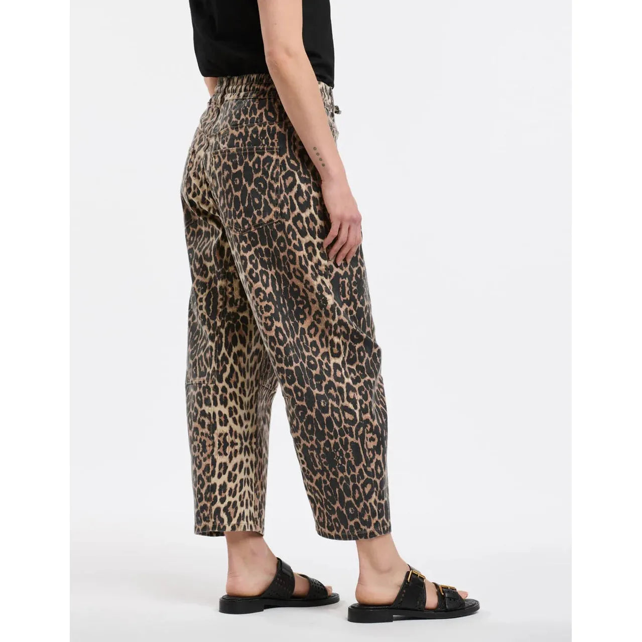 Leo - Leopard