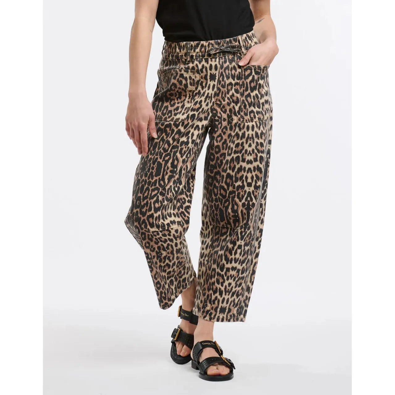 Leo - Leopard